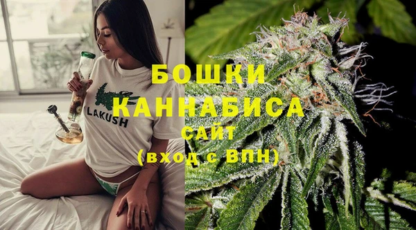 бошки Лагань